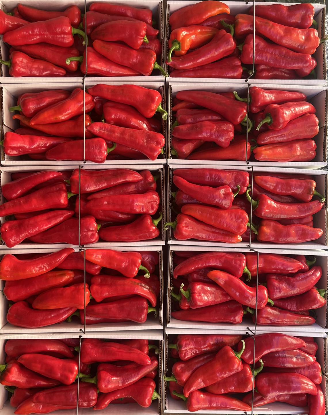 Shepherd Pepper Box