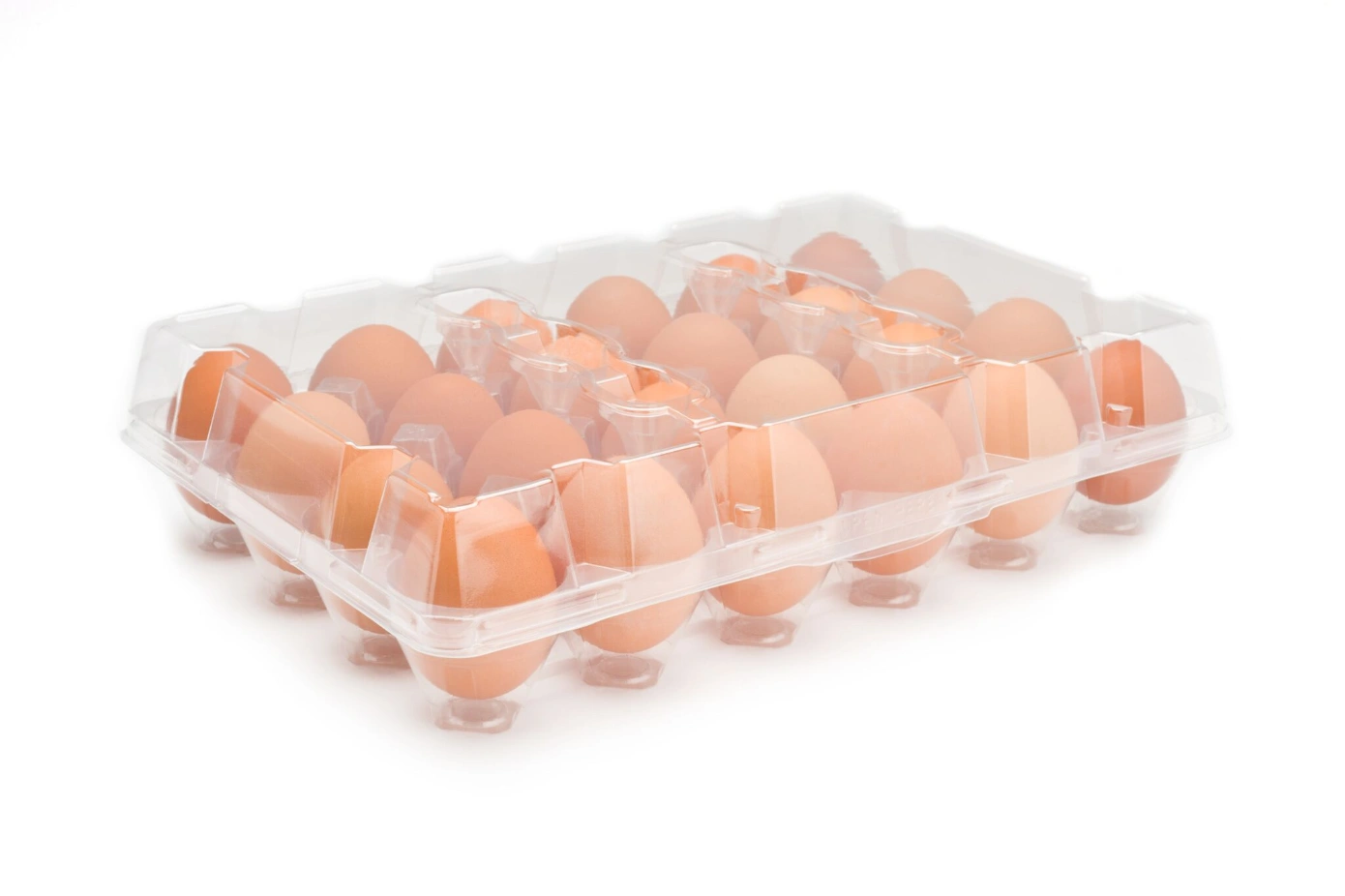 Brown Eggs Family Pack