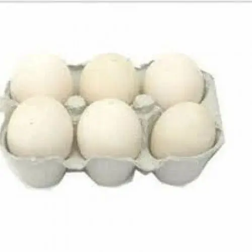 Natural Large White Eggs