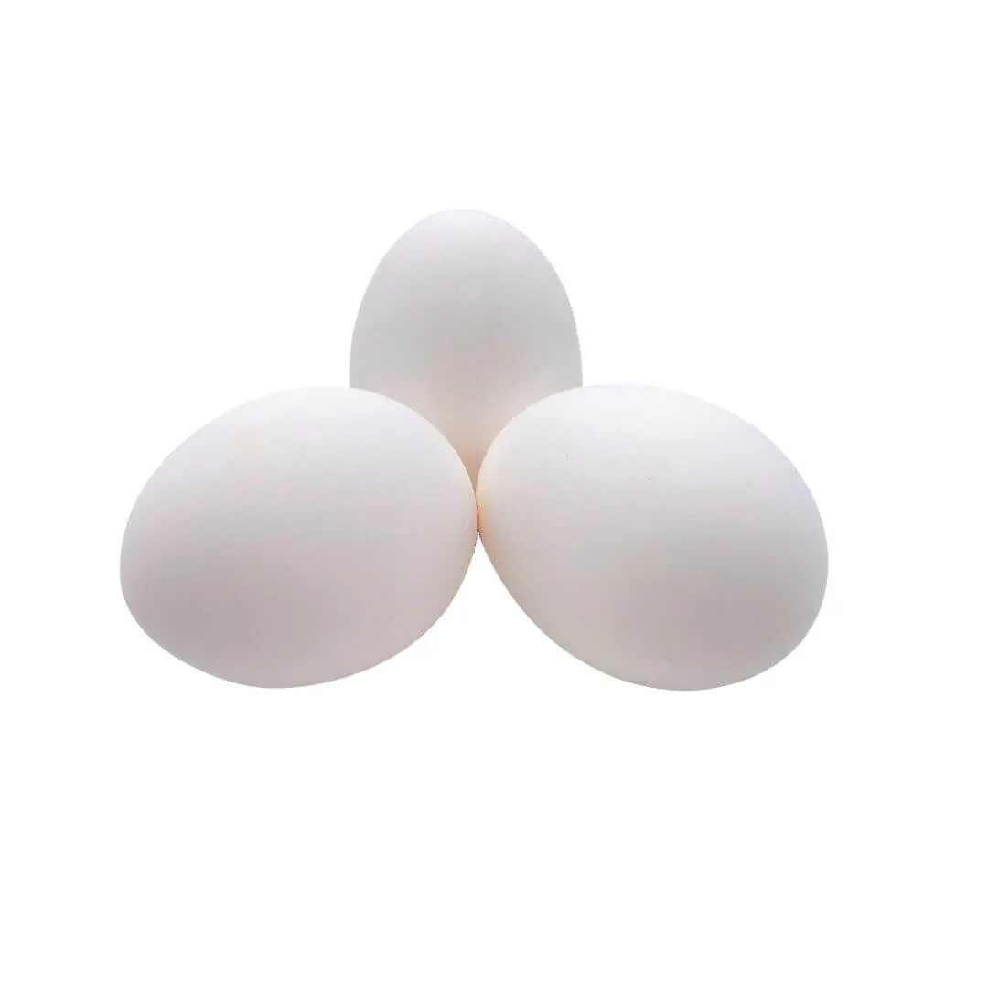 White Egg