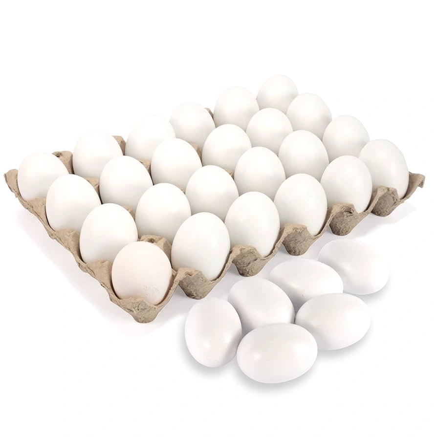 White Eggs Family Pack