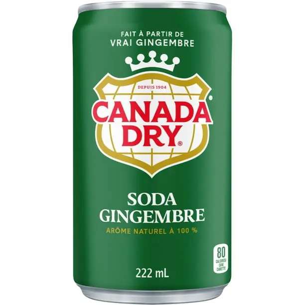 Canada Dry 222ml