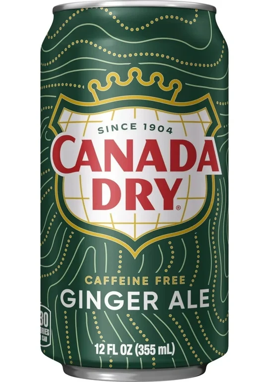 Canada Dry Ginger Ale Can 355ml