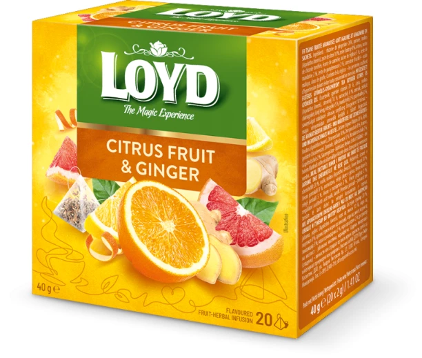 Loyd Citrus Fruit & Ginger (20 Bags) 40g