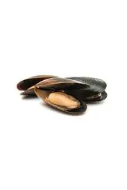 Iceberg Mussels 1lb