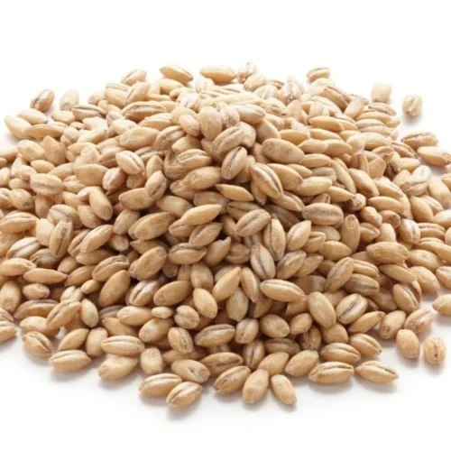 Tehran Market Pearl Barley 1lb