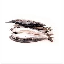 Mackerel (Titus) Fish Pack - (4)