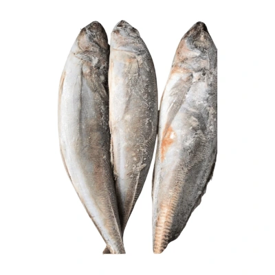 Whole Frozen Chinchard Fish 445g
