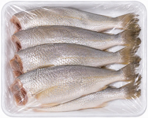 Croaker Fish (Headless)