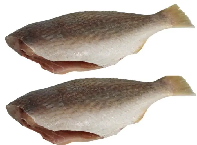 Croaker Fish Headless
