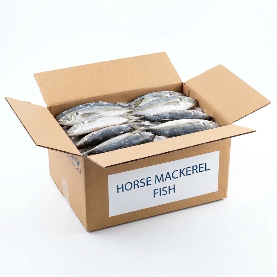 Horse Mackerel Kote Fish (20 kg Box)