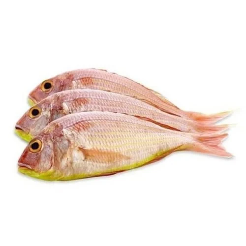 Jamuna Foods Rani Fish 250g