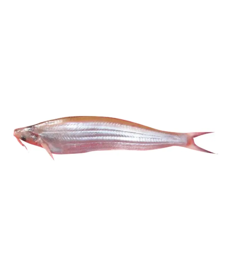Jamuna Foods Kajuli Fish 250g