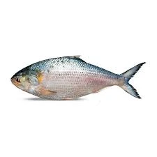 Katla Fish 3kg Up
