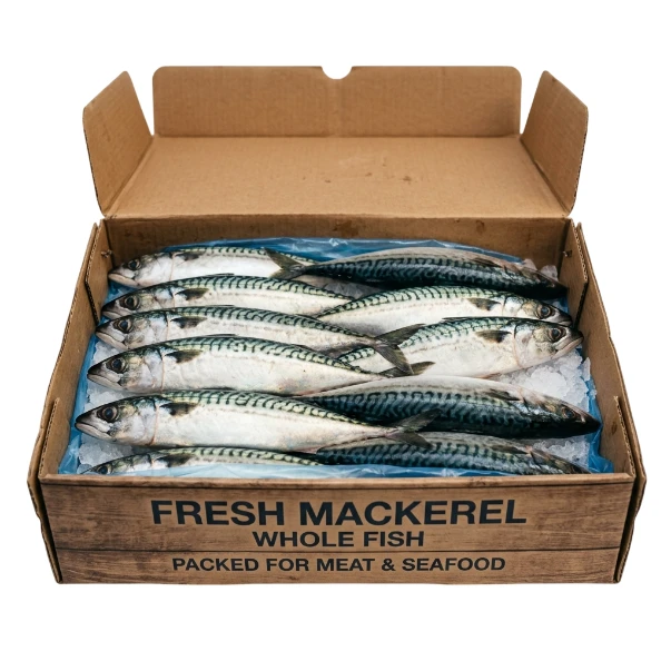 Mackerel Fish (12.5 Kg Box)