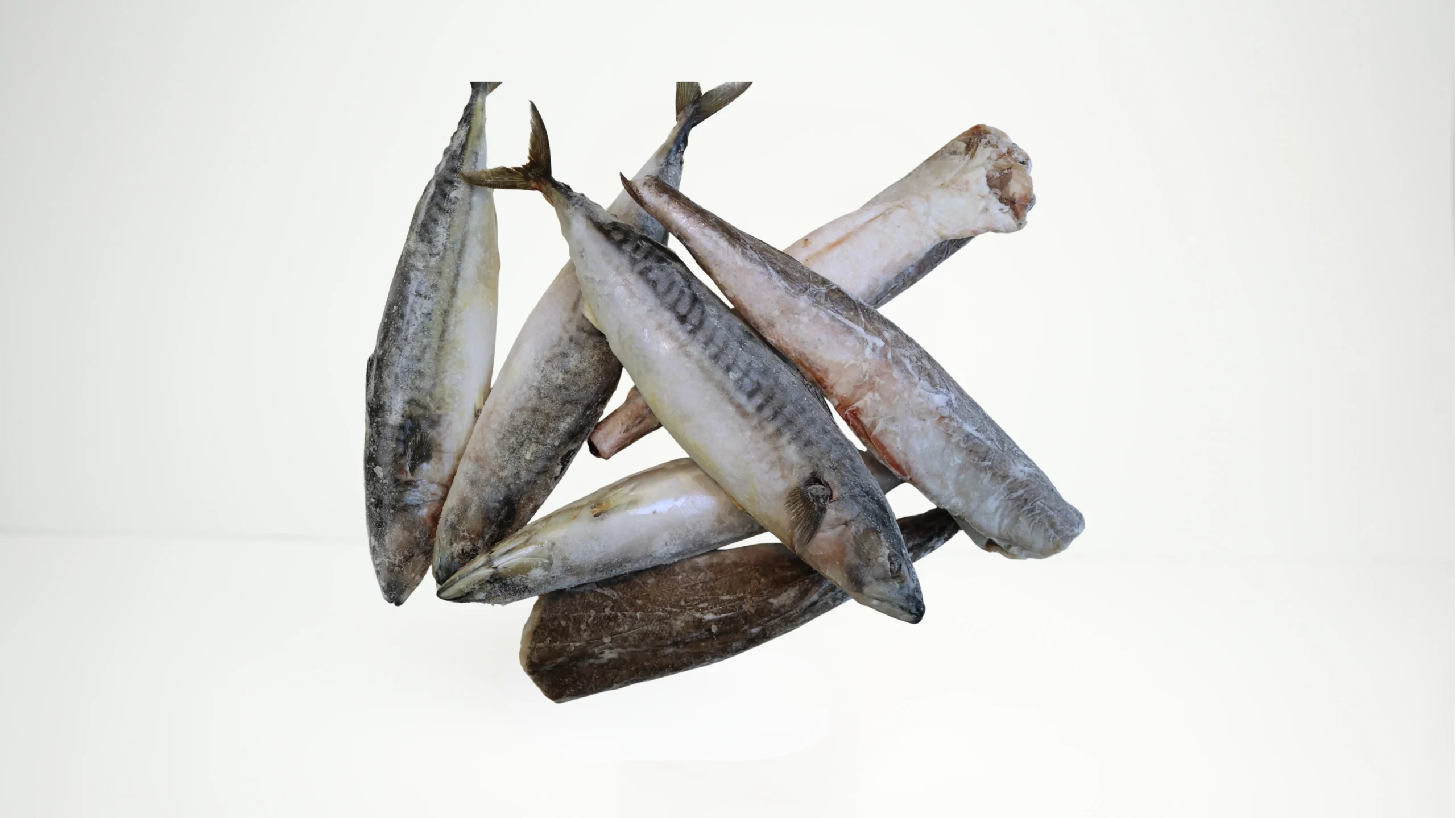 Mixed Hake And Mackerel Fish Pack