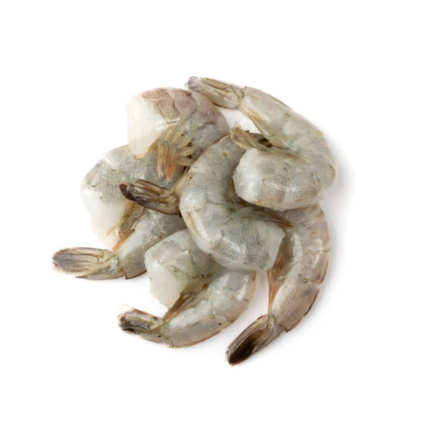 Pacific White Shrimp
