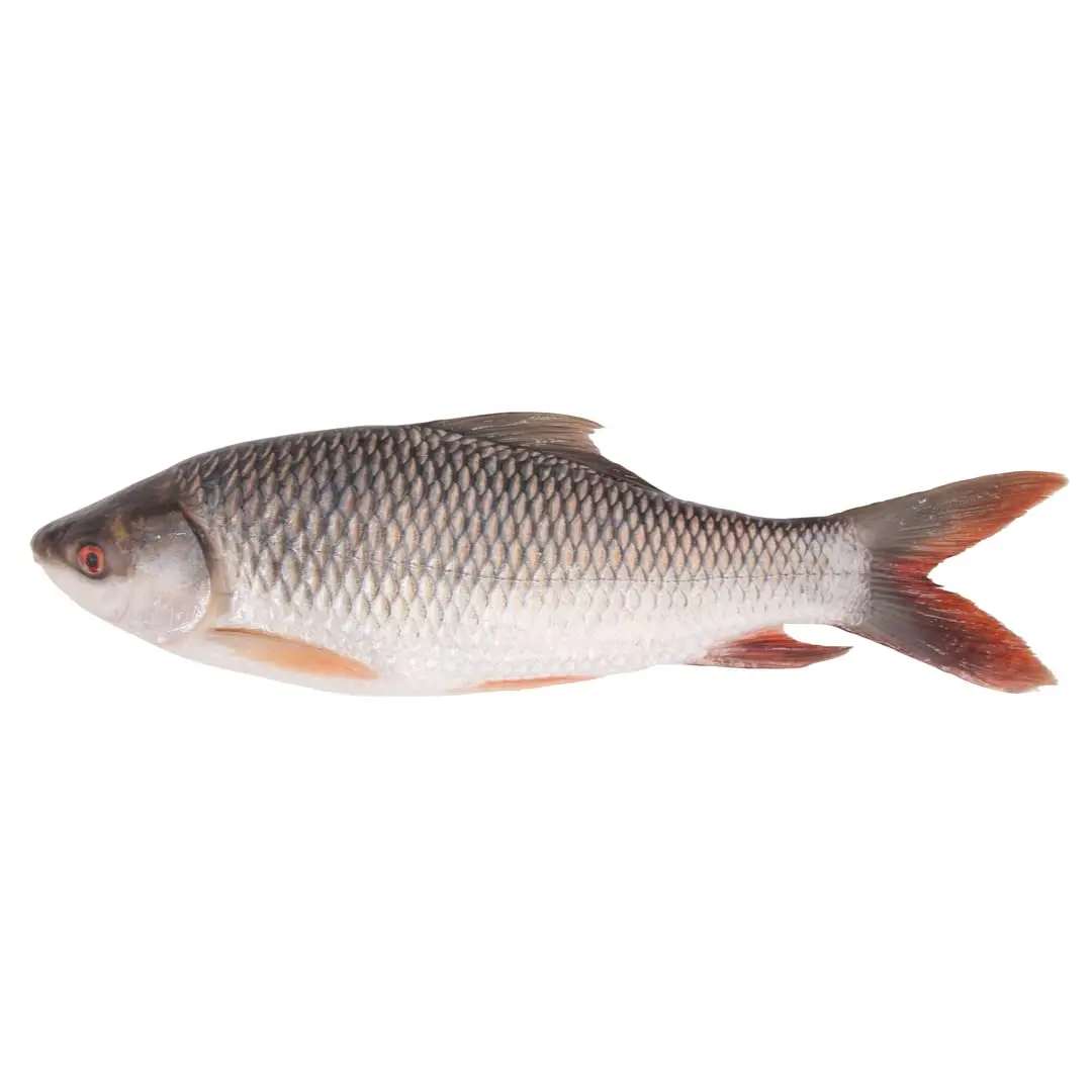 Rohu Fish 3kg