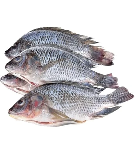 Tilapia Fish In Bag