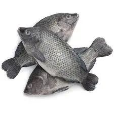 Tilapia (Gutted) 1Kg plus