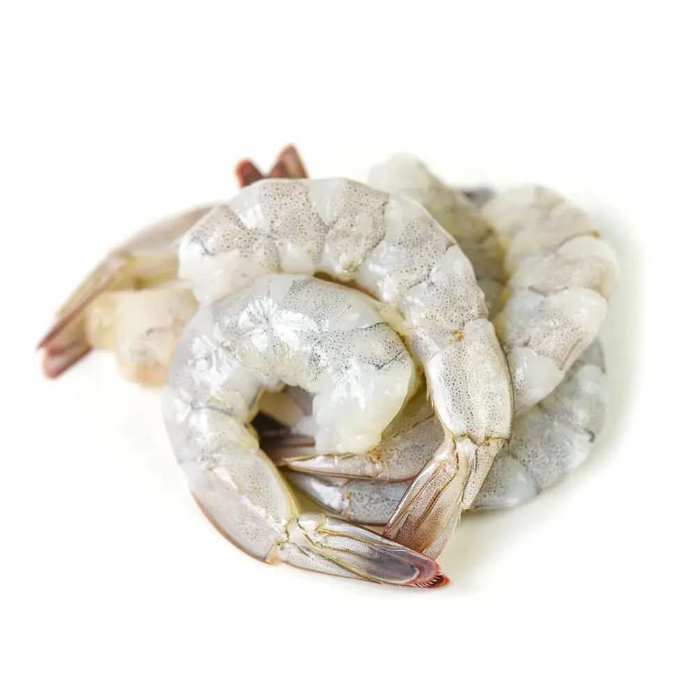White Pacific Shrimps