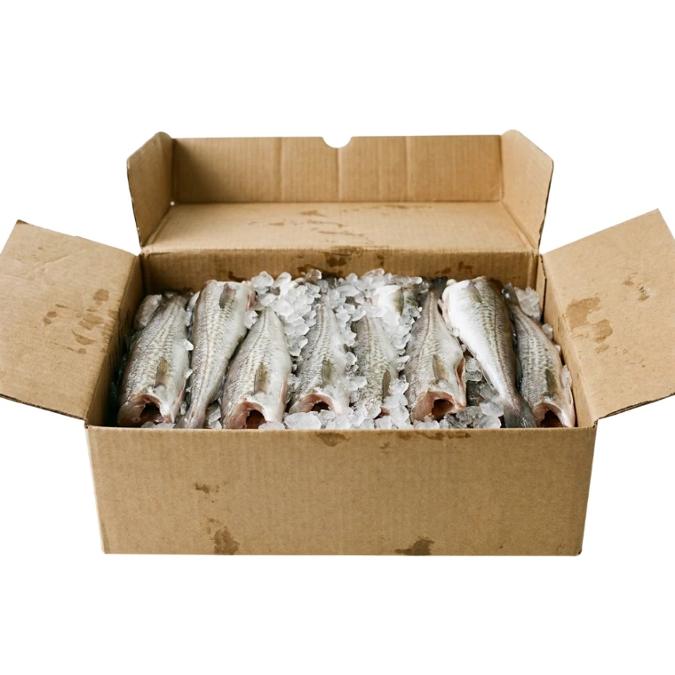 Whiting Fish (10 KG Box)