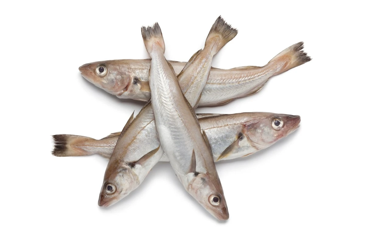Whiting Fish 3.5Lb