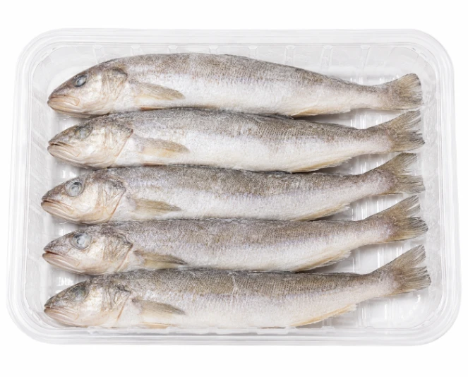 Whiting Fish