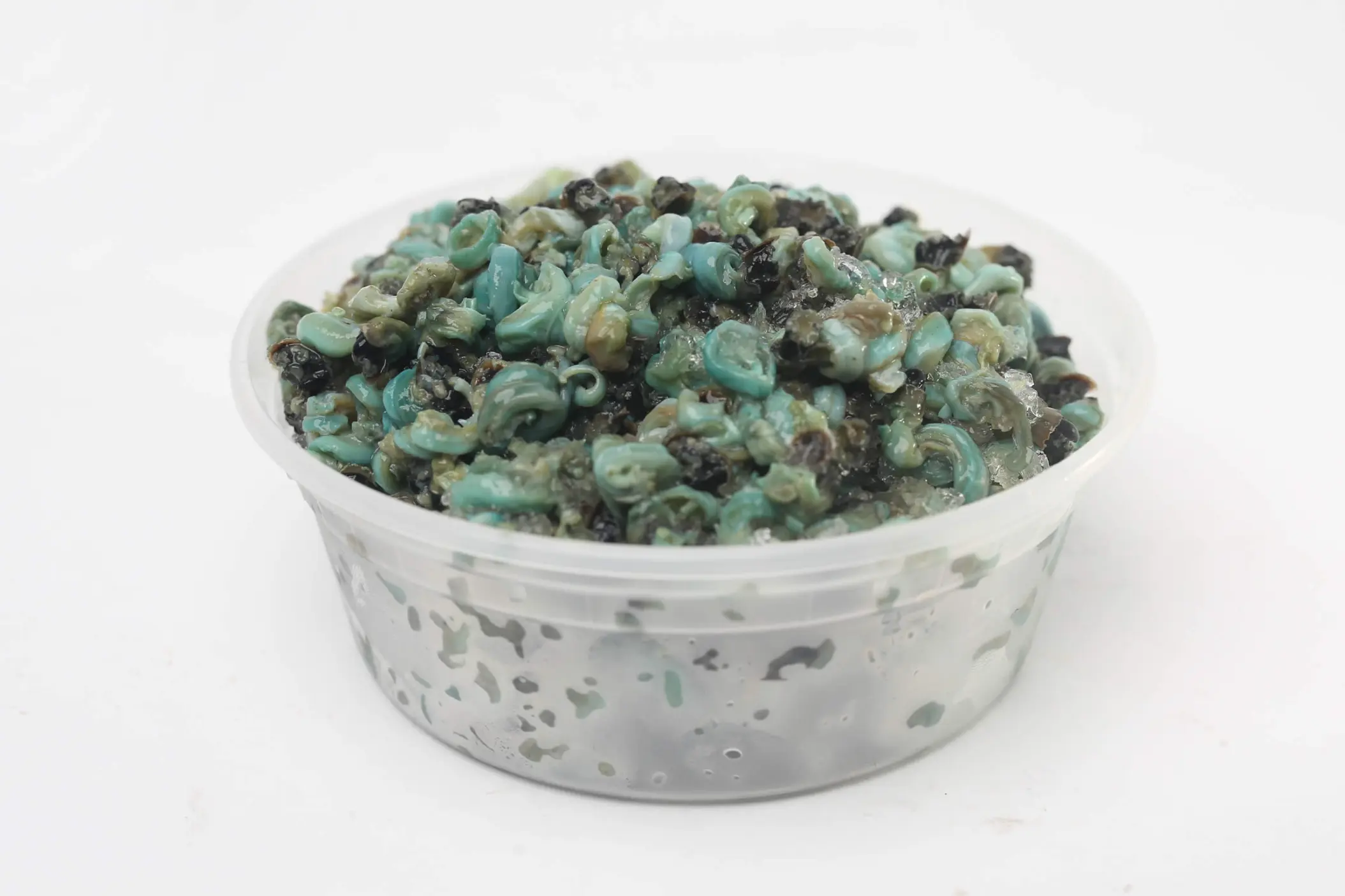 Frozen Periwinkles 500g