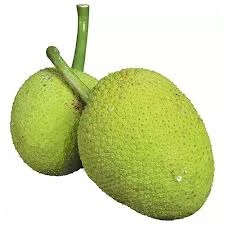 Akin's Breadfruit (Per kg)