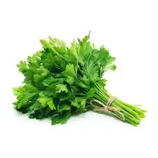 Bansal Cilantro 1 Piece