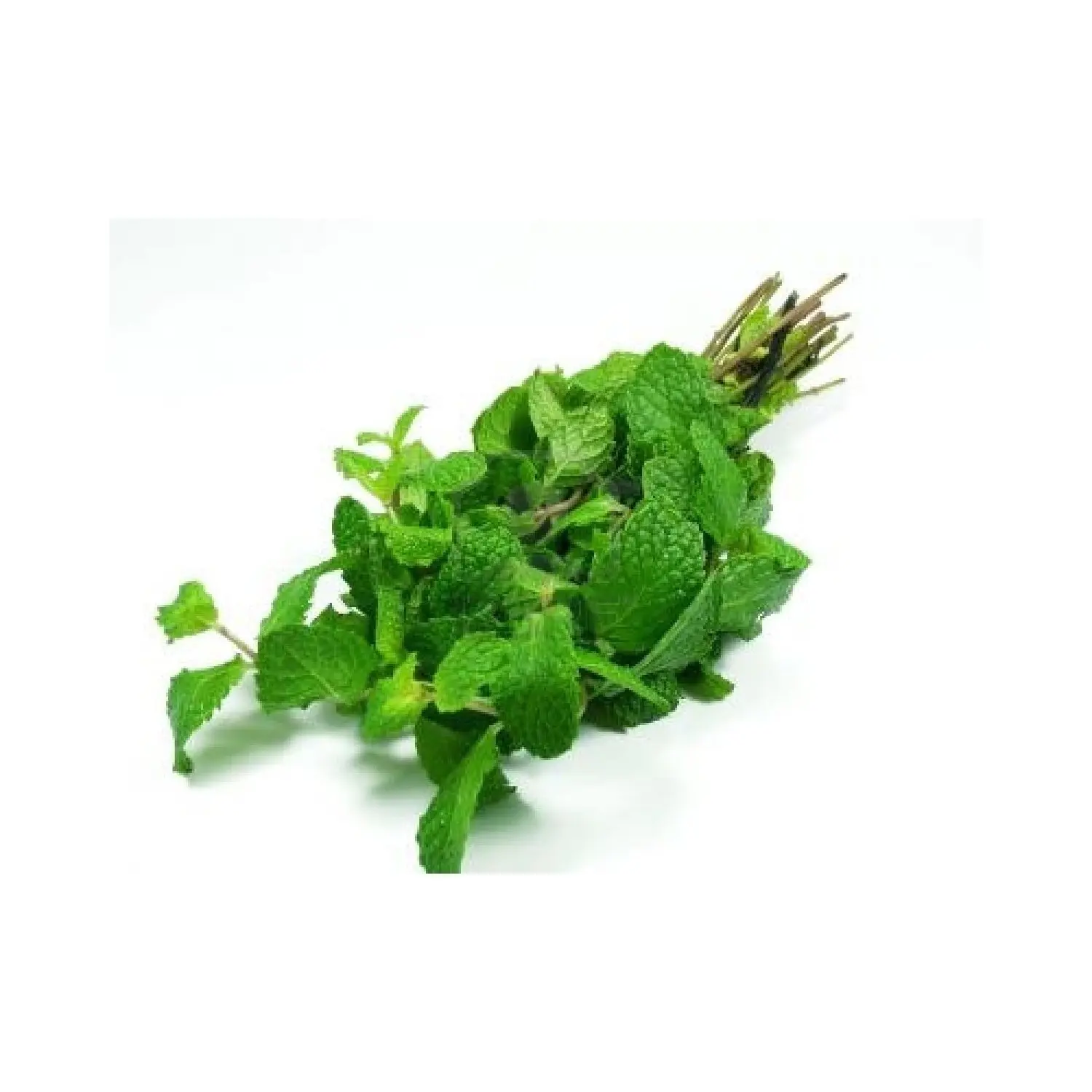 Bansal Mint Leaves 1 Piece