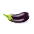 Fresh Whole Ripe Purple Eggplant