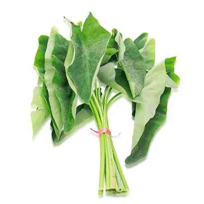 Fresh Kochu Pata