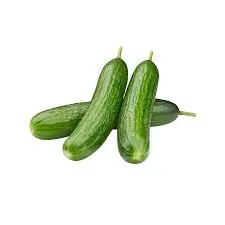 Greenhouse Cucumber 1lb