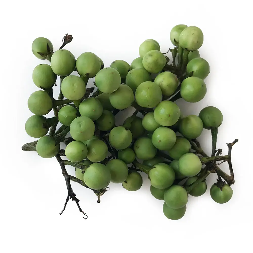 Small Egg Plants 100g