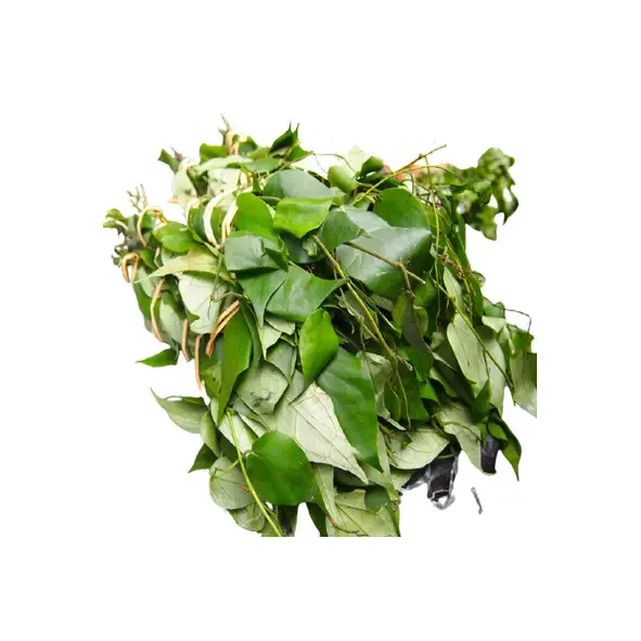 Utazi Leaves
