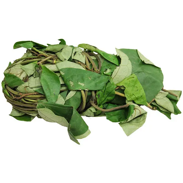 Uziza Leaves