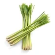 Whole Sun-Dried Citronelle Leaves (Lemon Grass)