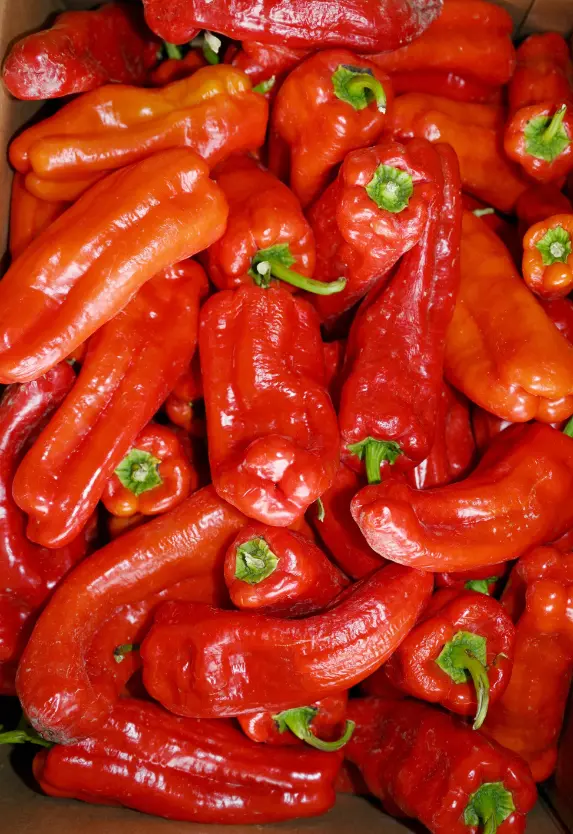 Frozen Crismon Pepper/ Bawa/ Tatase 25Ibs