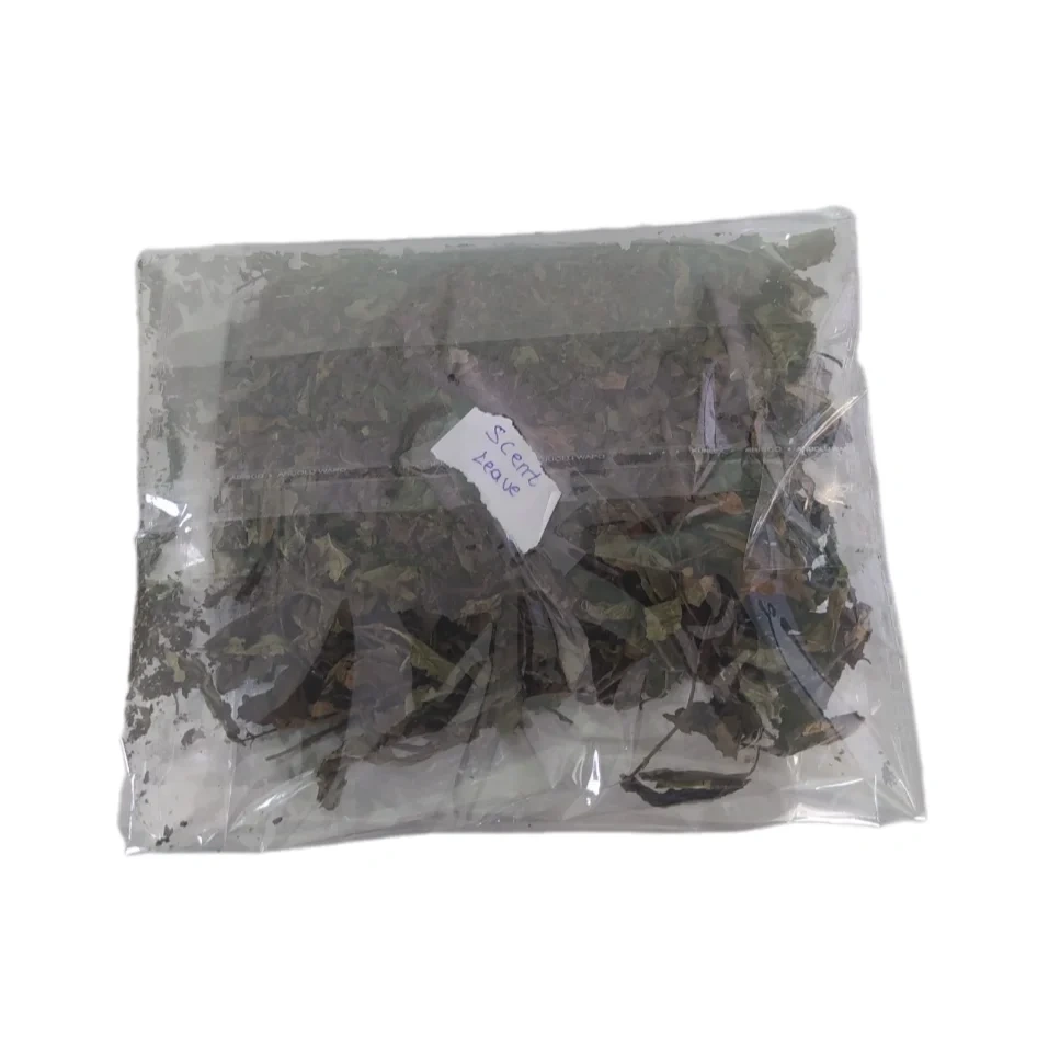 Dried Scent Leaves