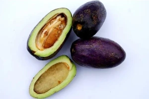 Fresh African Bush Pear (Safou)