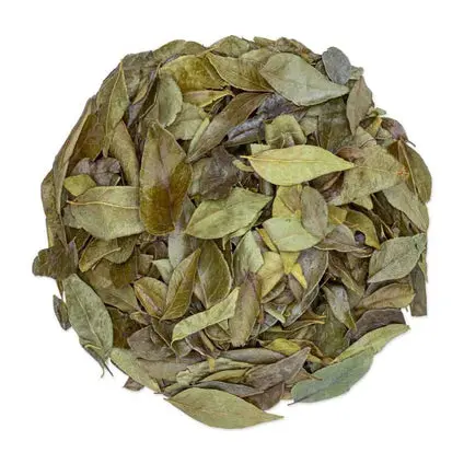 Curry Leaves
