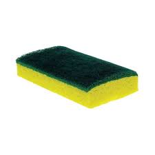 Scrubbing Sponge