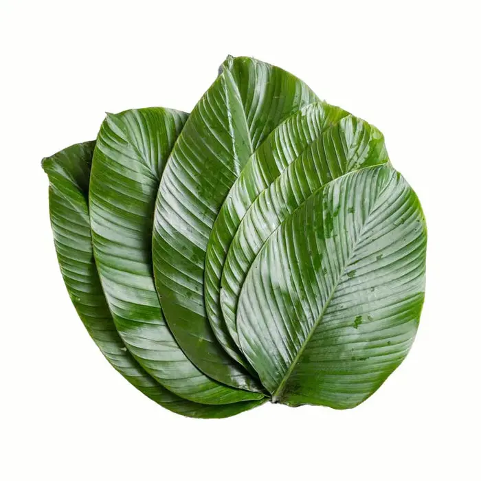Moi Moi Leaves