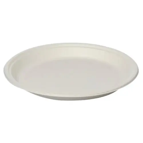 Paper Plate 10 Counts