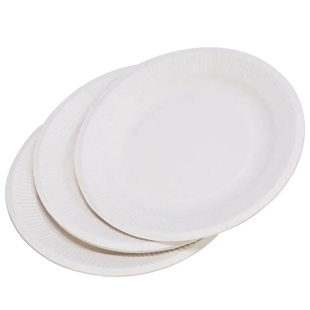 Plate 24 Paper Plates