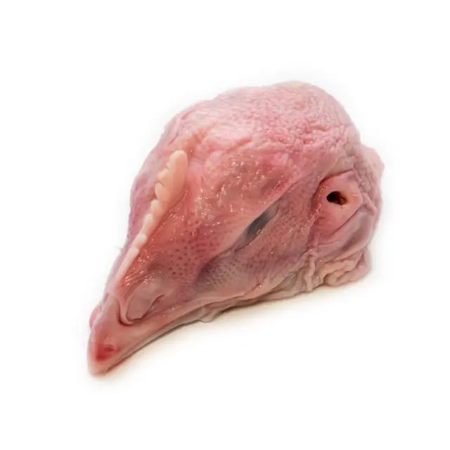 Chicken Head
