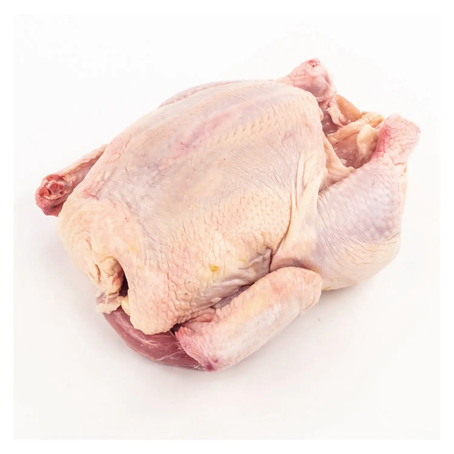 Fresh Chicken