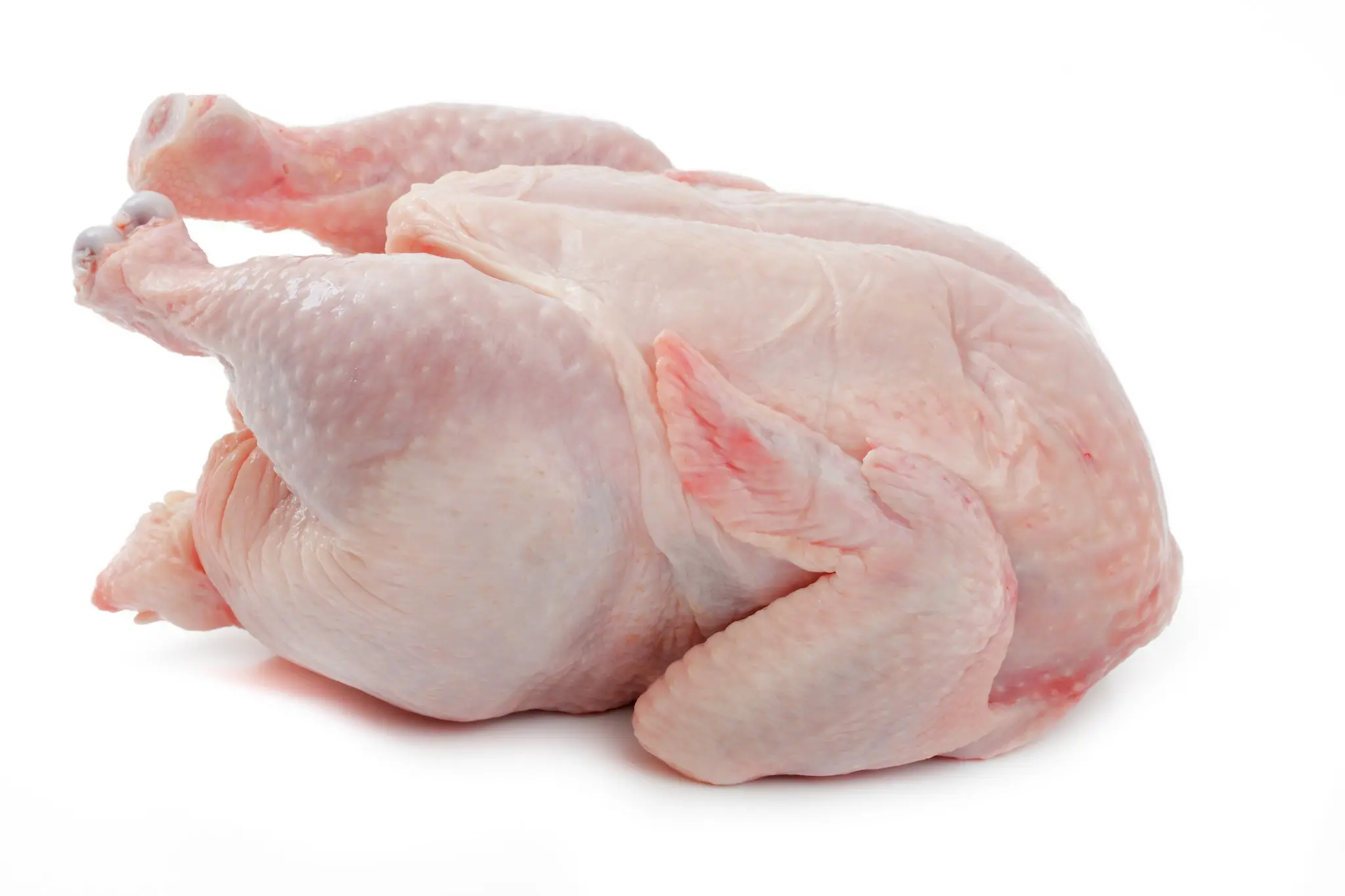 Whole Chicken - B2B